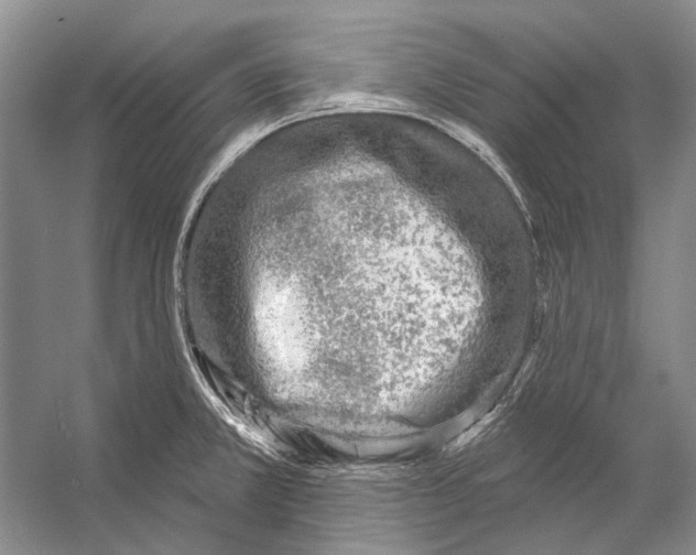 X0000053121381200508081240