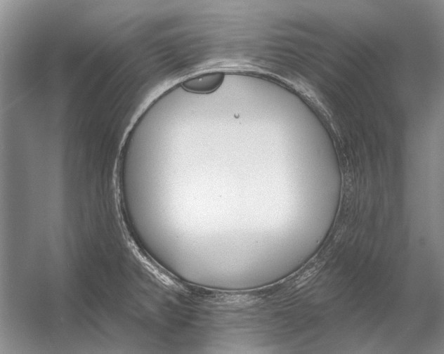 X0000053121382200508081240