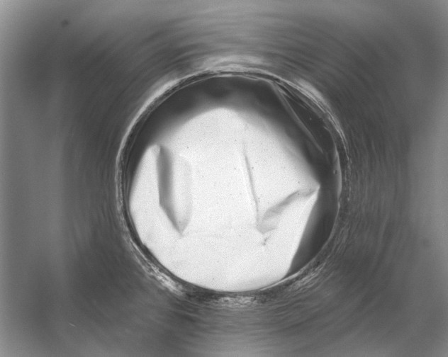 X0000053121384200508081240