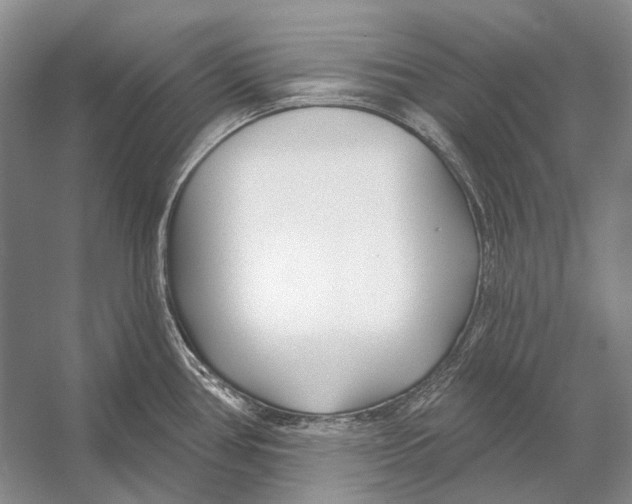 X0000053121386200508081240