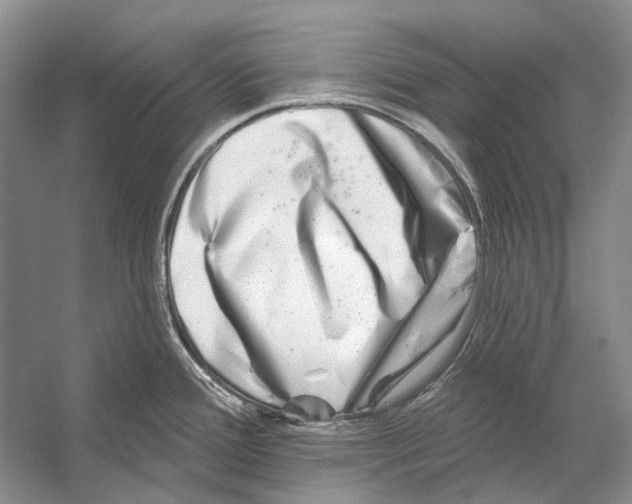 X0000053121388200508081240