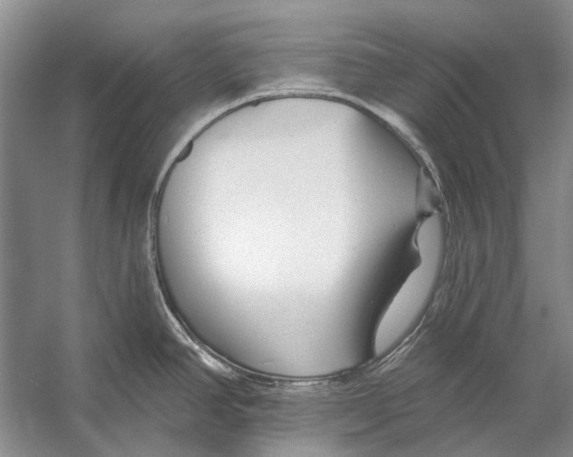 X0000053121390200508081240