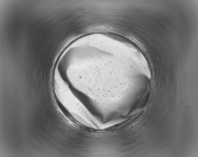 X0000053121392200508081240