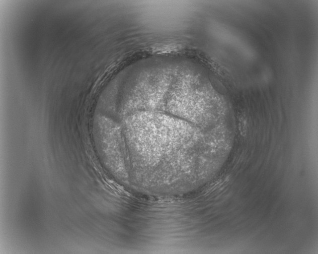 X0000053121393200508081239