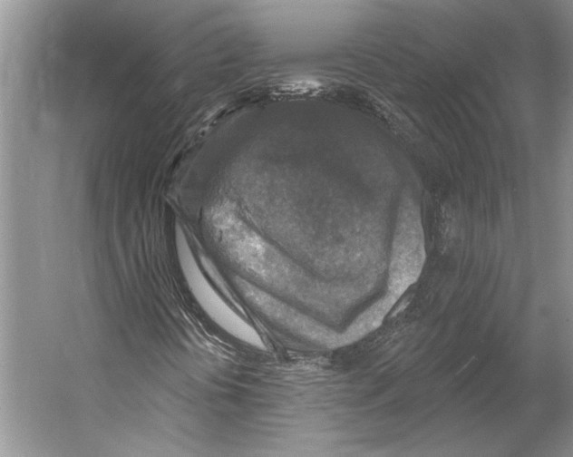 X0000053121394200508081239