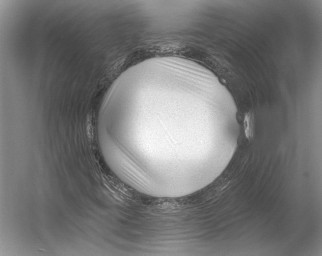 X0000053121395200508081239