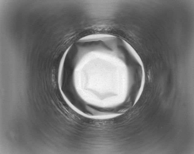 X0000053121396200508081239