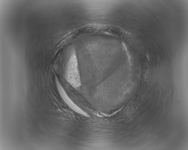 X0000053121397200508081239