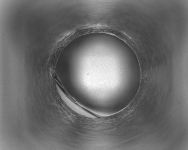 X0000053121398200508081239