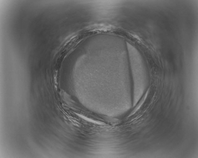 X0000053121399200508081239