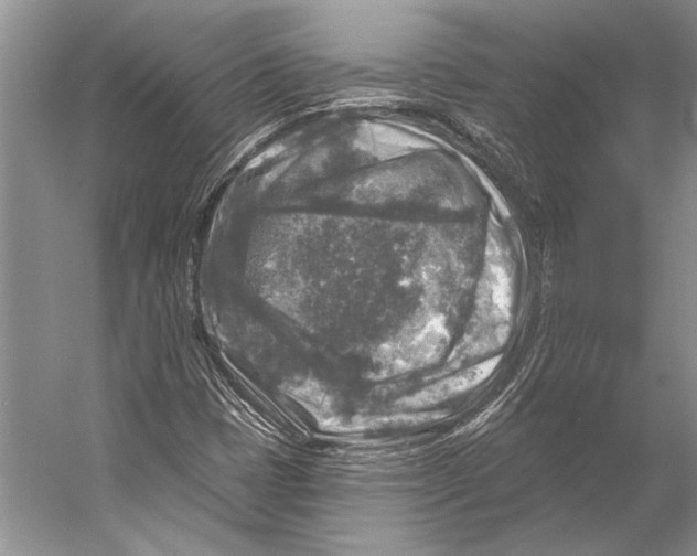 X0000053121401200508081239