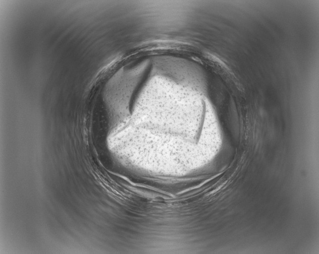 X0000053121403200508081239