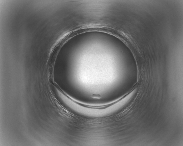 X0000053121406200508081239