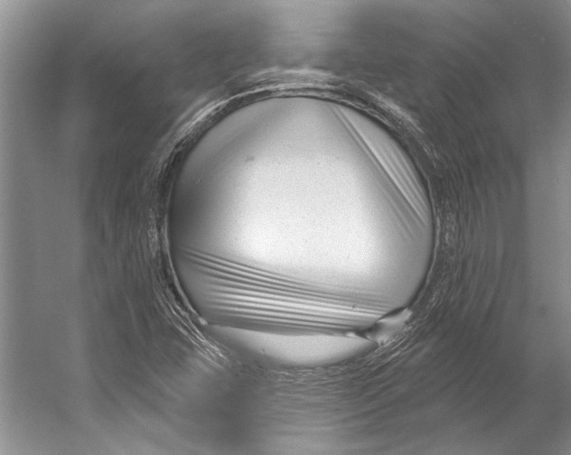 X0000053121407200508081239