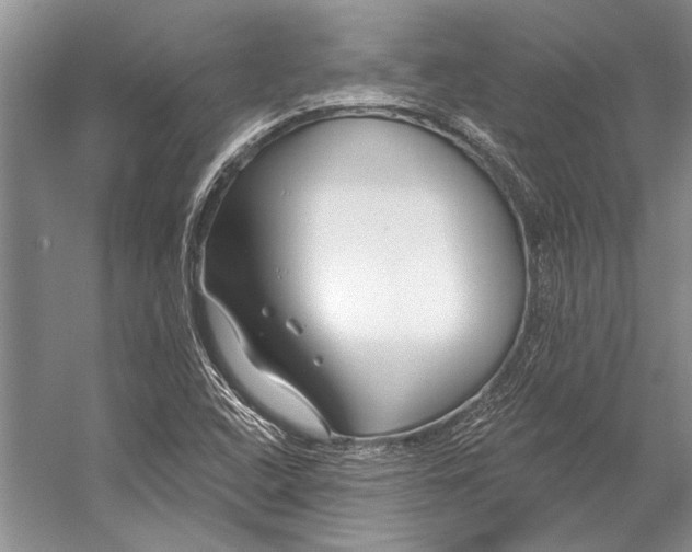 X0000053121408200508081239