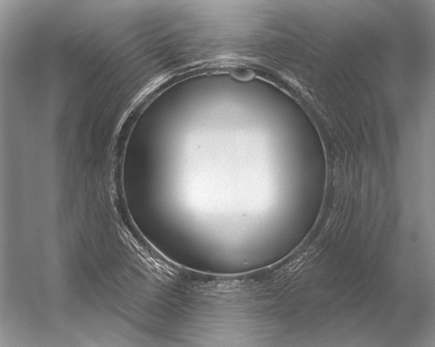 X0000053121410200508081239