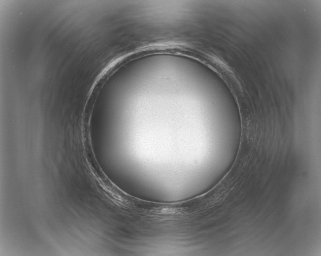 X0000053121412200508081240