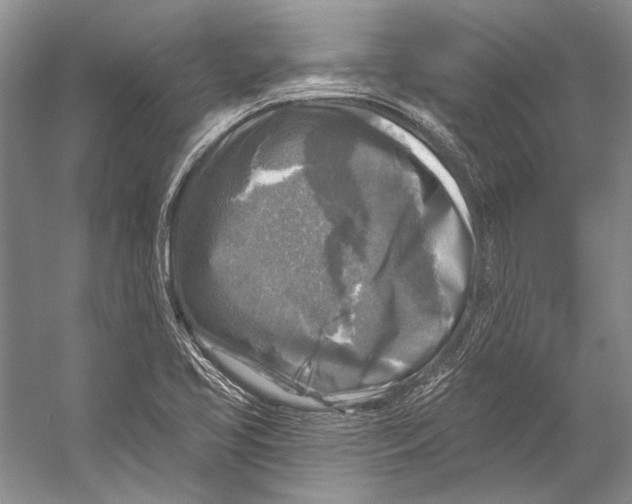 X0000053121413200508081240