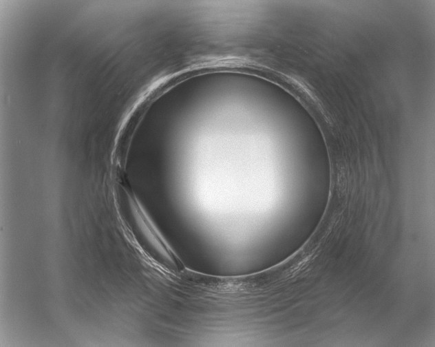 X0000053121414200508081240