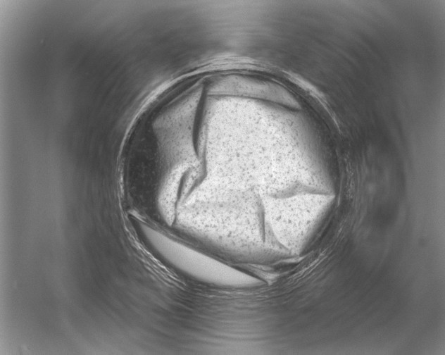 X0000053121415200508081240