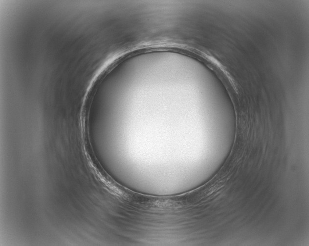 X0000053121416200508081240