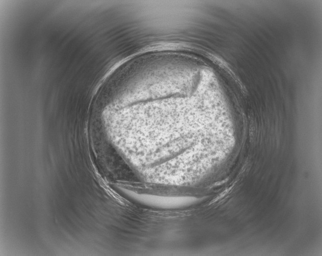 X0000053121417200508081240