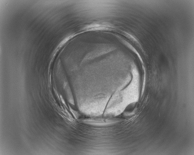 X0000053121419200508081240