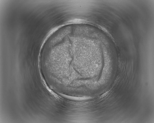 X0000053121421200508081240