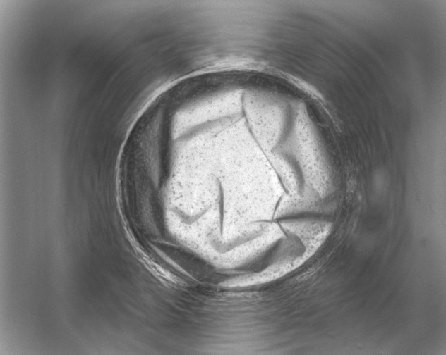 X0000053121423200508081240