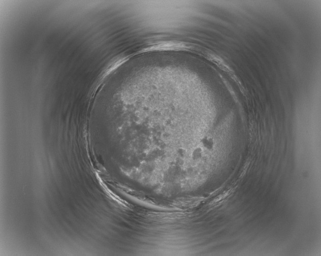 X0000053121425200508081240