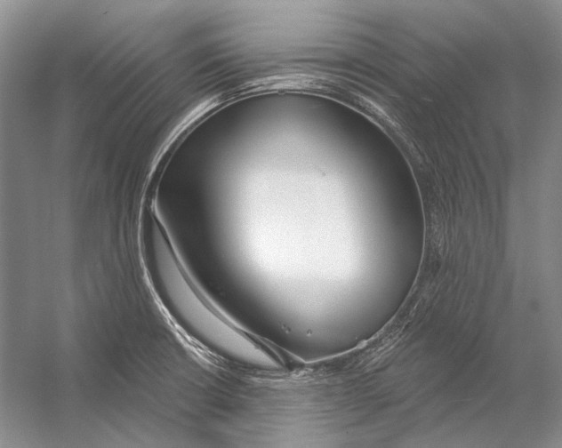 X0000053121426200508081240