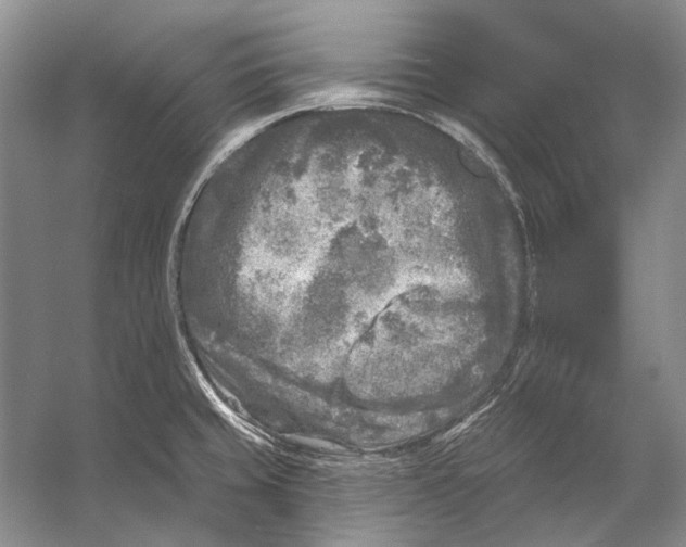 X0000053121429200508081240