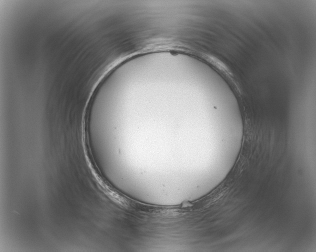 X0000053121431200508081240