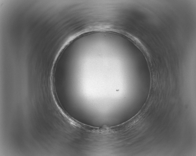 X0000053121432200508081240