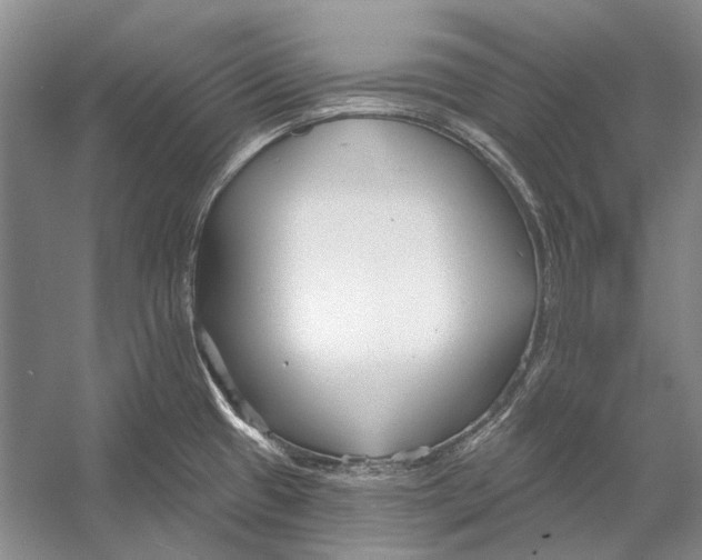 X0000053121433200508081240