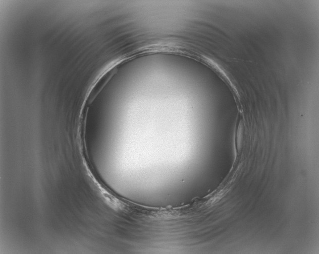 X0000053121434200508081240