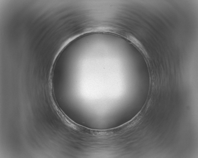 X0000053121436200508081240