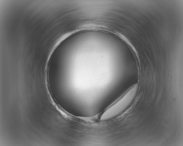 X0000053121437200508081240