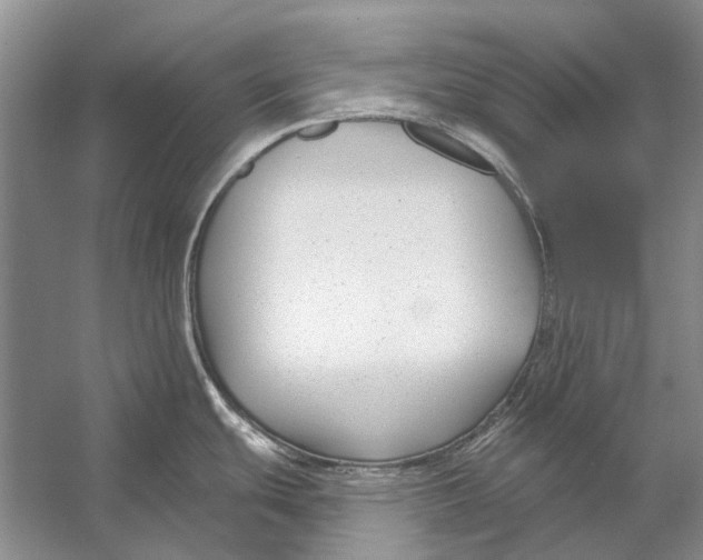 X0000053121439200508081240