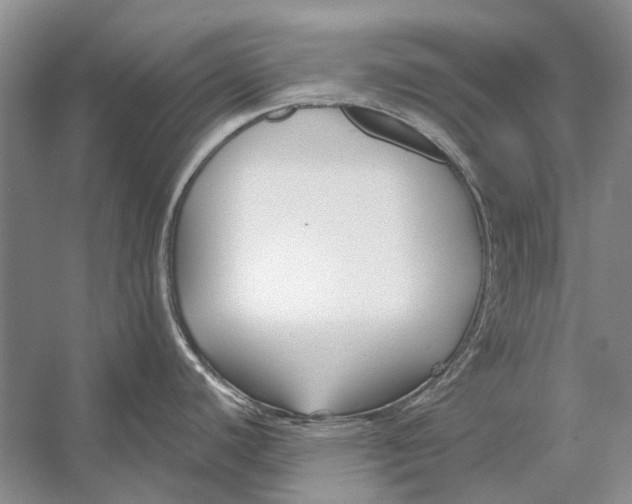 X0000053121440200508081240