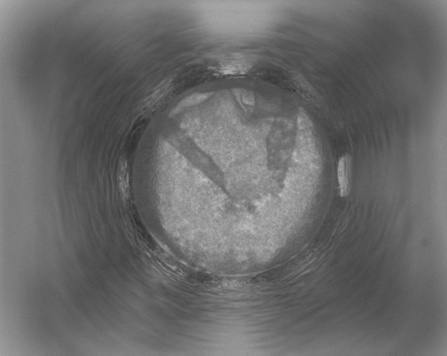 X0000053121443200508081239