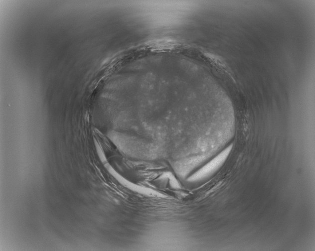 X0000053121445200508081239