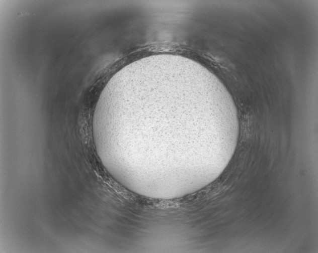 X0000053121446200508081239