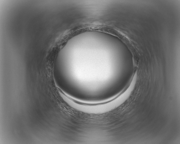 X0000053121447200508081239