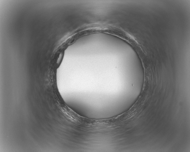 X0000053121448200508081239