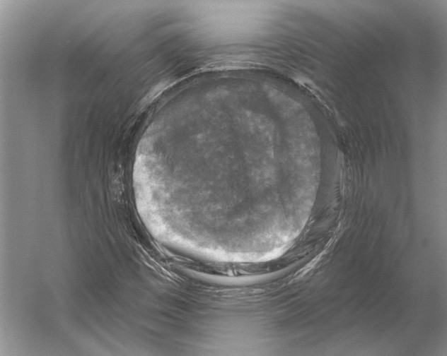 X0000053121449200508081239