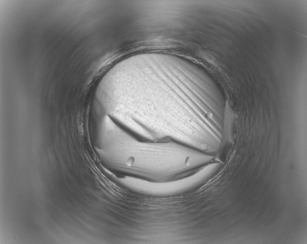 X0000053121451200508081239