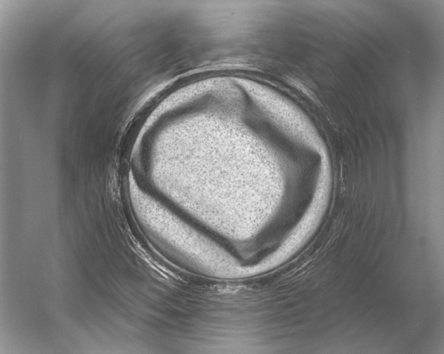 X0000053121452200508081239