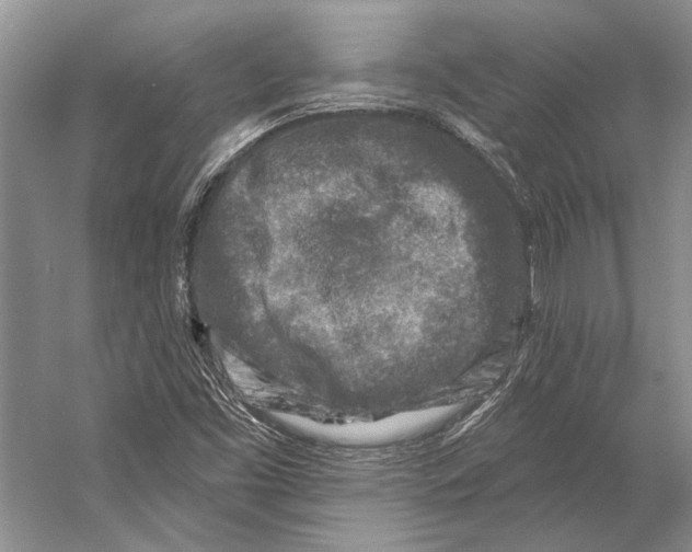 X0000053121453200508081239