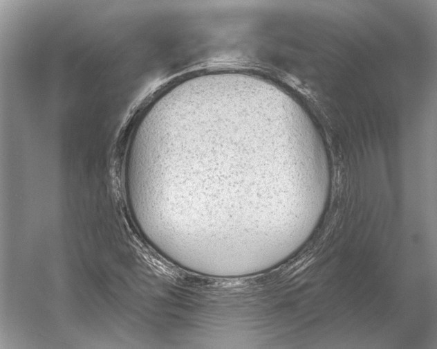 X0000053121454200508081239